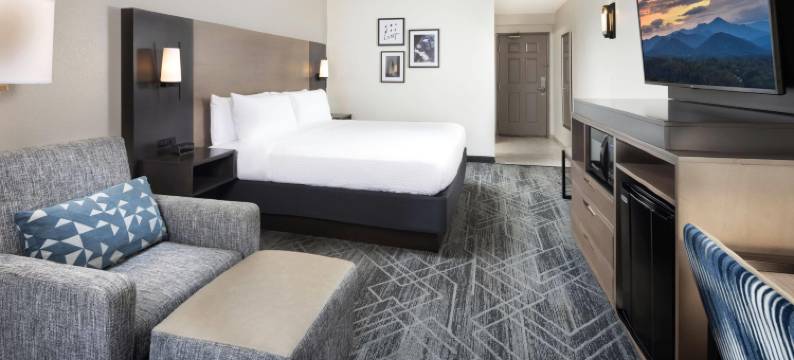 La Quinta Inn & Suites by Wyndham Asheville Downtown图片