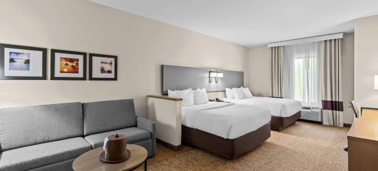 舒适套房酒店(Comfort Suites Edinboro)图片