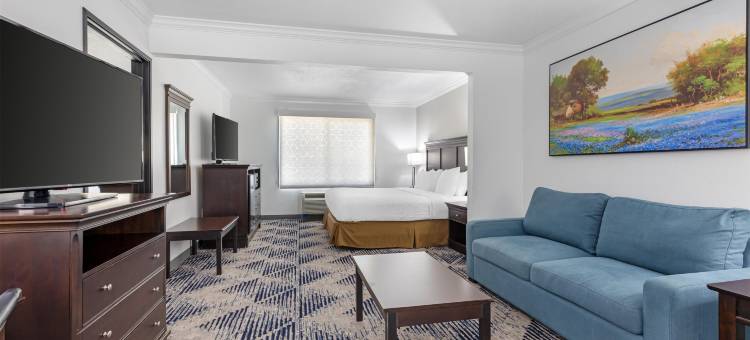 泰劳南园贝斯特韦斯特优质套房酒店(Best Western Plus Southpark Inn  Suites)图片