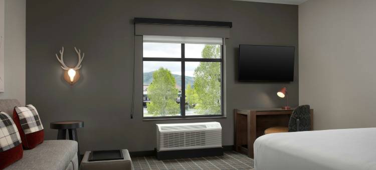 斯廷博特斯普林斯TownePlace Suites酒店(Towneplace Suites By Marriott Steamboat Springs)图片