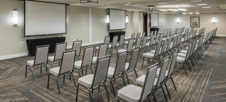 葡萄藤达拉斯沃尔斯堡国际机场希尔顿花园酒店(Hilton Garden Inn DFW North Grapevine)图片