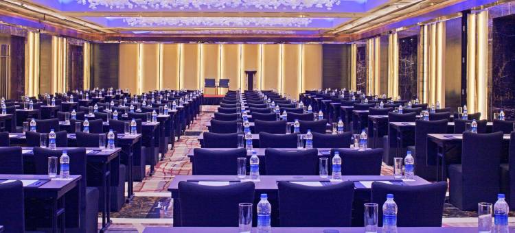 德里机场丽笙世嘉酒店(Radisson Blu Plaza Delhi)图片