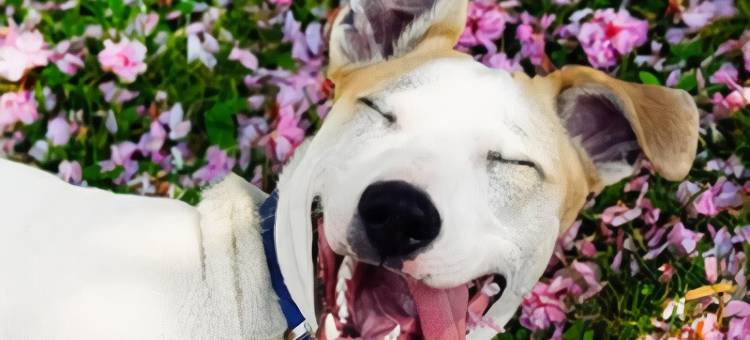 瑞享突尼斯湖酒店(Mövenpick Hotel du Lac Tunis)图片