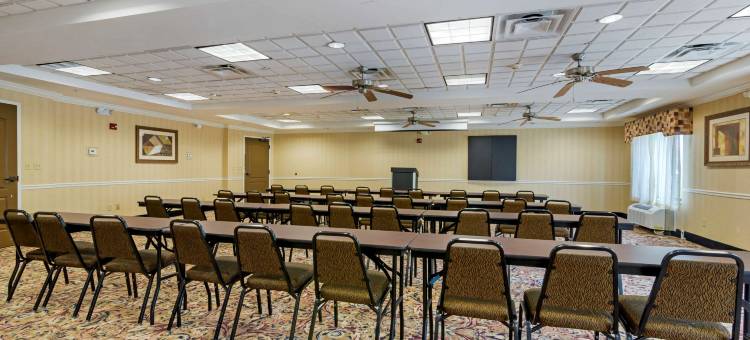 萨凡纳北舒适套房酒店(Comfort Suites Savannah North)图片