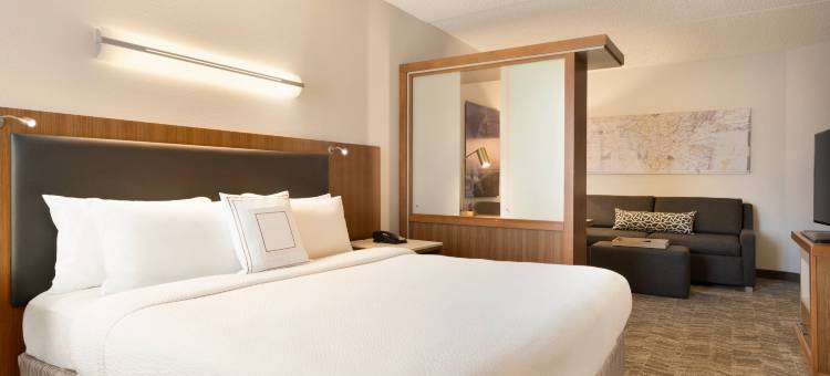 尤英镇南普林斯顿万豪SpringHill酒店(SpringHill Suites Ewing Princeton South)图片