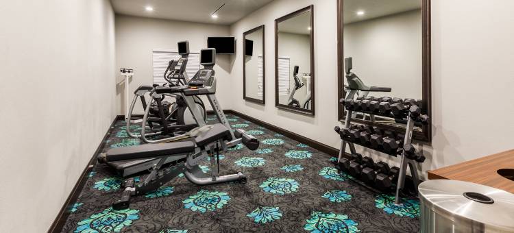 智选假日套房酒店基林 - 哈克高地 by IHG(Holiday Inn Express & Suites Killeen - Fort Hood Area by IHG)图片