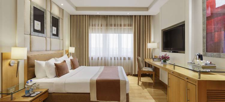 卢迪亚纳丽亭酒店(Park Plaza, Ludhiana)图片