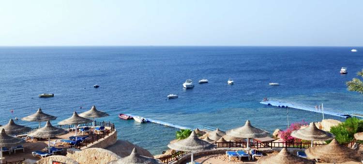 希尔顿逸林-沙姆沙伊赫鲨鱼湾度假村(DoubleTree by Hilton Sharm El Sheikh - Sharks Bay Resort)图片