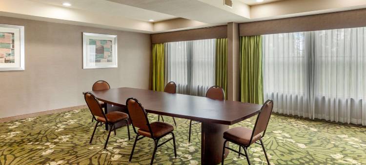 谢尔曼康福特套房酒店(Quality Suites Sherman)图片