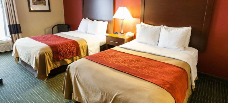 史特斯维尔-穆尔斯维尔舒适套房酒店(Comfort Inn & Suites Statesville - Mooresville)图片