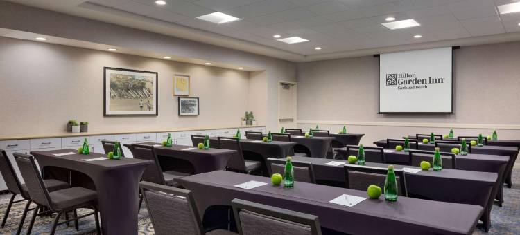 希尔顿花园酒店(Hilton Garden Inn Carlsbad Beach)图片