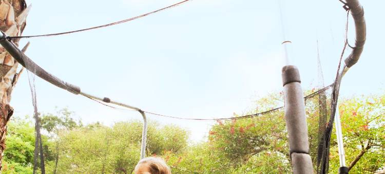 巴塞罗那科尔内亚诺富特酒店(Novotel Barcelona Cornella)图片