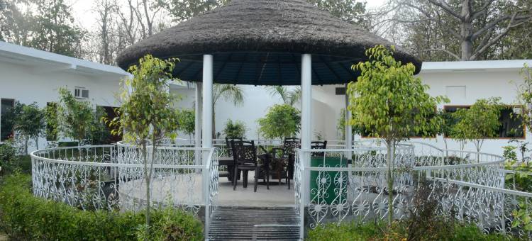 Dtr Jungle Hideaways图片