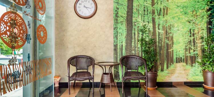 D松树酒店(D'Pinetrees Hotel)图片