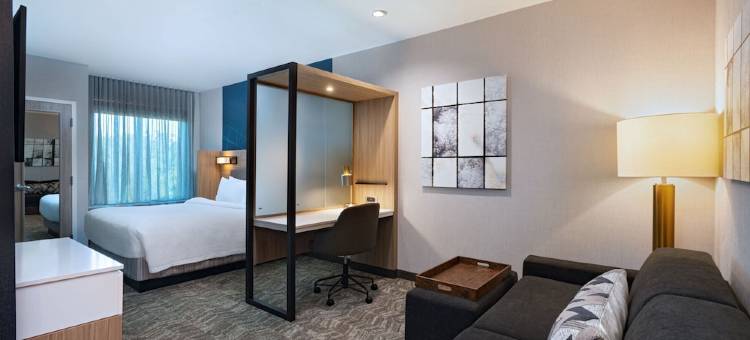 Marriott Austin North的SpringHill套房(SpringHill Suites by Marriott Austin North)图片
