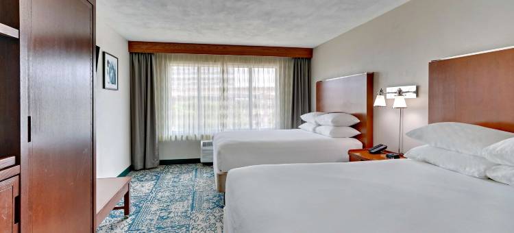 圣安东尼奥机场德鲁里套房酒店(Drury Inn & Suites San Antonio Airport)图片