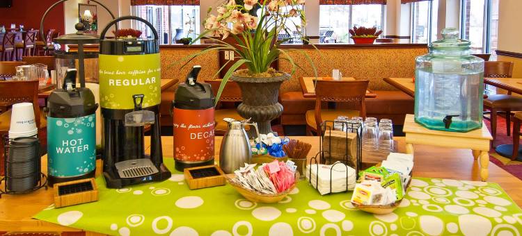 斯塔克维尔希尔顿花园酒店(Hilton Garden Inn Starkville)图片