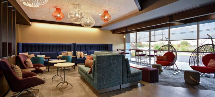 TRU - 温彻斯特希尔顿酒店(Tru by Hilton Winchester)图片