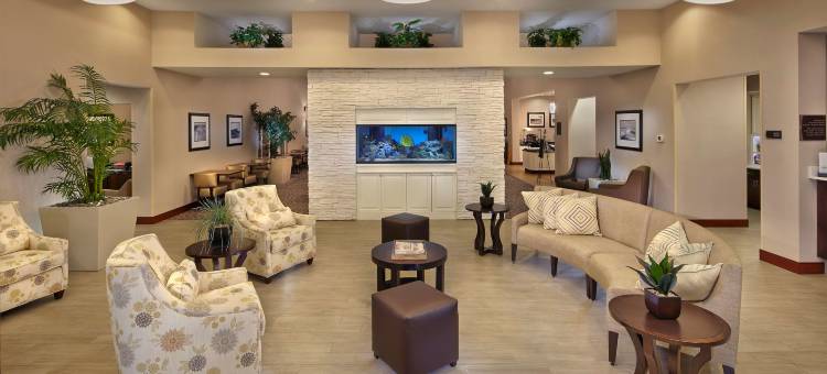 代托纳比奇赛道机场Homewood Suites by Hilton(Homewood Suites by Hilton Daytona Beach Speedway-Airport)图片