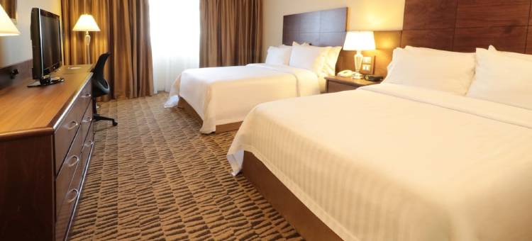 Holiday Inn 蒙特雷NORTE(Holiday Inn Monterrey Norte)图片