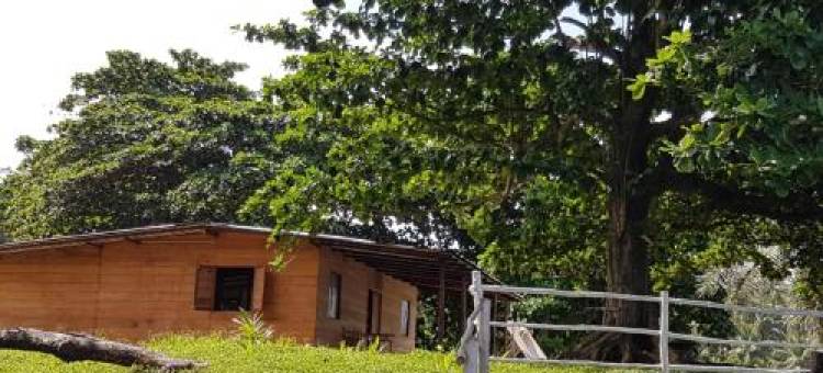 Gombela Ecolodge and Farming图片