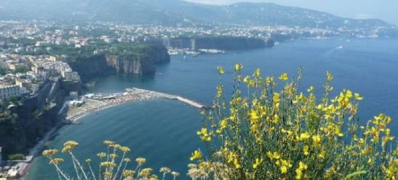 维利诺卡斯特拉诺公寓酒店(Villino Castellano Apartments)图片