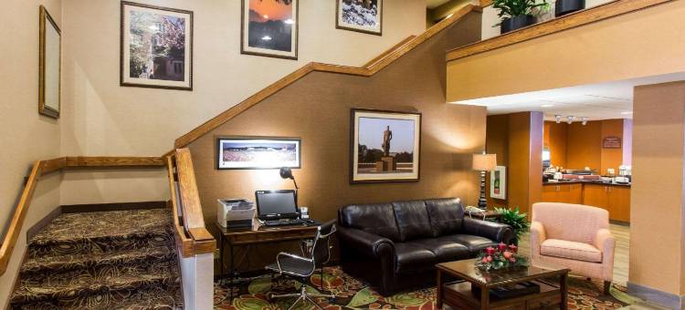 东兰辛奥克莫斯舒适酒店(Comfort Inn Okemos - East Lansing)图片