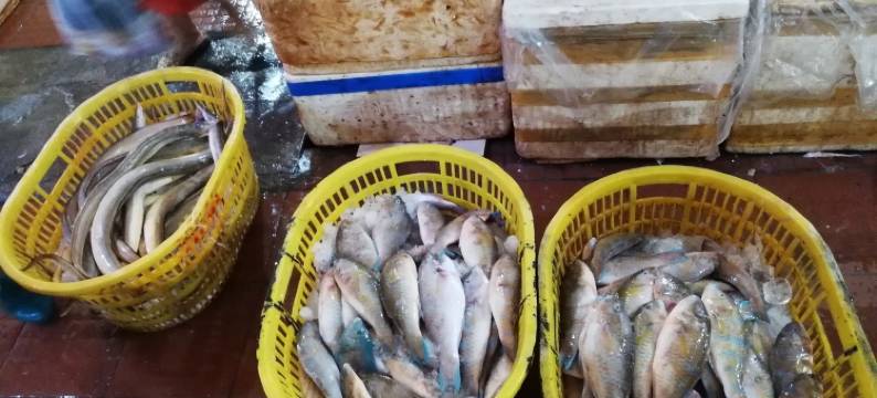 榴莲酥7公寓(西湾大道分店)图片