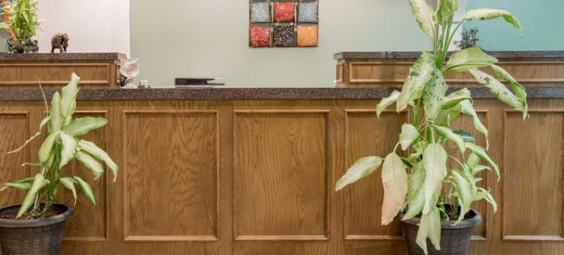 斯莱顿骑士酒店(Knights Inn Slaton)图片