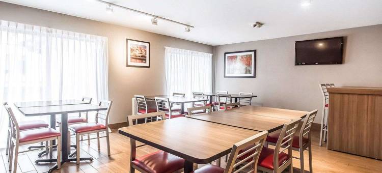 舒适酒店(Comfort Inn)图片