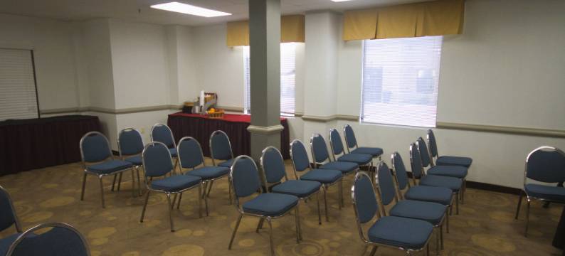 DFW机场中庭套房酒店(Atrium Hotel and Suites DFW Airport)图片