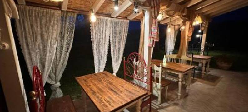 葡萄农庄别墅酒店(Agriturismo Villa le Vigne)图片