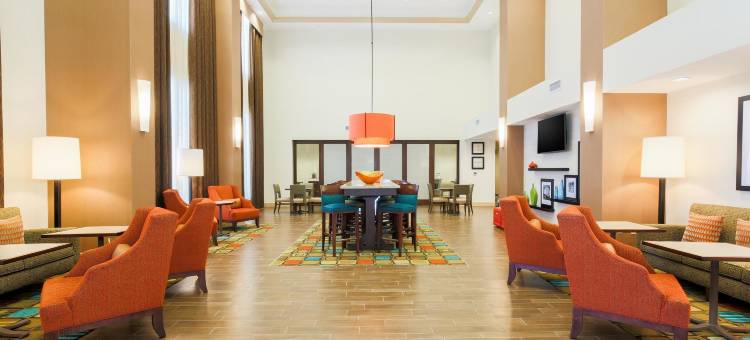 美国达拉斯/弗赖拉辛北球馆欢朋套房酒店(Hampton Inn & Suites by Hilton Dallas/Frisco North-Fieldhouse USA)图片