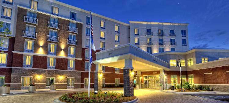 查尔斯顿/芒特普林森希尔顿花园酒店(Hilton Garden Inn Charleston / Mt. Pleasant)图片