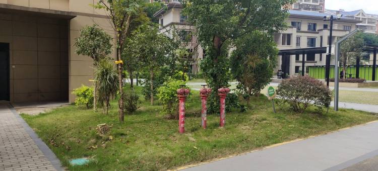 房东兰公寓(环城西路分店)图片
