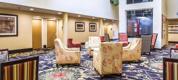 安德森舒适全套房酒店(Comfort Suites Anderson-Clemson)图片