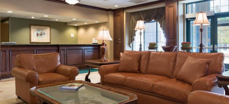 Homewood Suites by Hilton-底特律特洛伊(Homewood Suites by Hilton Detroit - Troy)图片