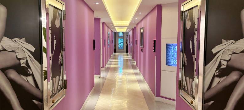 雷斯特酒店-岩槻-限大人(Restay Iwatsuki)图片