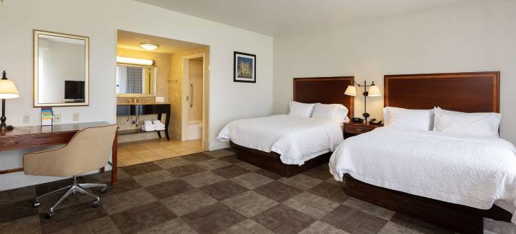 巴吞鲁日I-10号东欢朋套房酒店(Hampton Inn & Suites Baton Rouge - I-10 East)图片