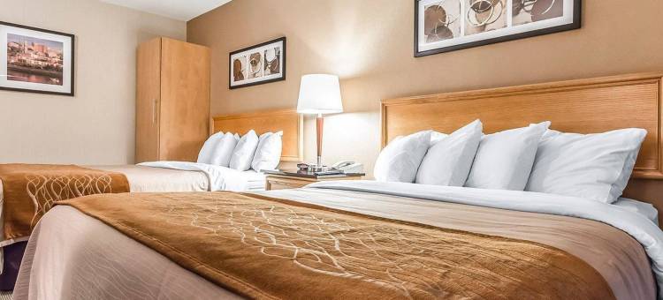 舒适酒店(Comfort Inn Riviere-Du-Loup)图片