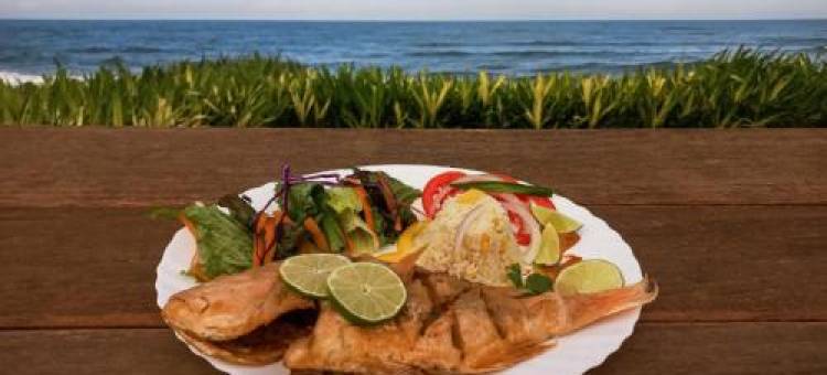 Hotel Torre Marina图片