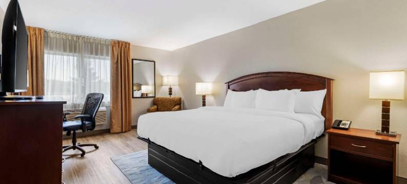 阿尔伯特利舒适酒店(位于步道旅行中心)(Comfort Inn Albert Lea at Trails Travel Center)图片