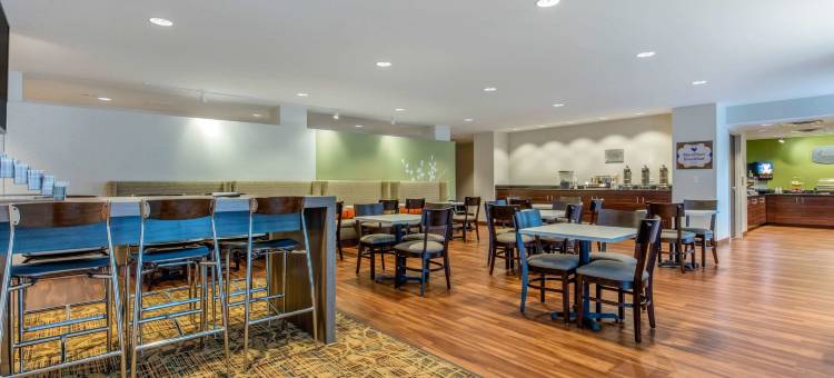 圣路易斯 - 机场舒适酒店(Comfort Inn St Louis Airport)图片