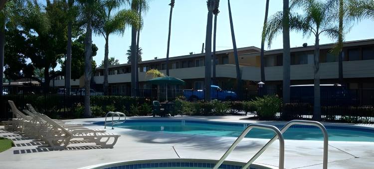 丘拉维斯塔帕尔梅拉斯酒店(Hotel Palmeras Chula Vista)图片