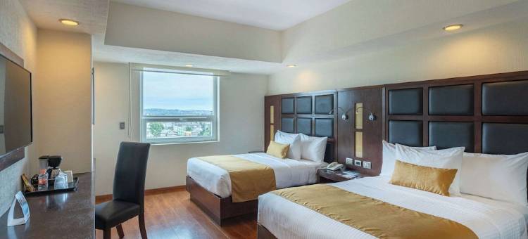 普埃布拉历史中心舒适酒店(Comfort Inn Puebla Centro Histórico)图片