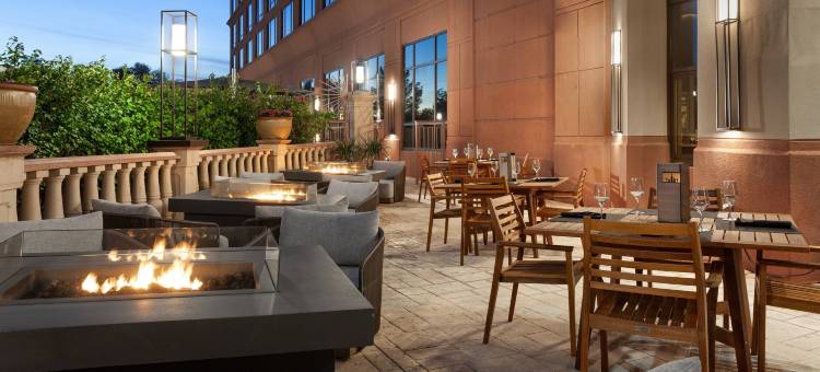 凤凰城机场万豪酒店(Marriott Phoenix Airport)图片