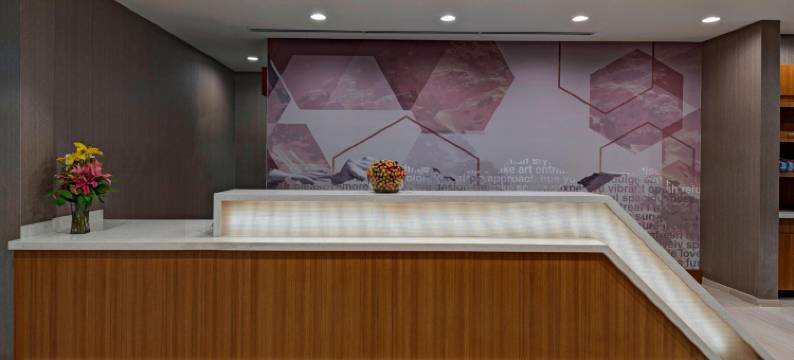 丹佛西金万豪SpringHill Suites酒店(SpringHill Suites Denver West/Golden)图片