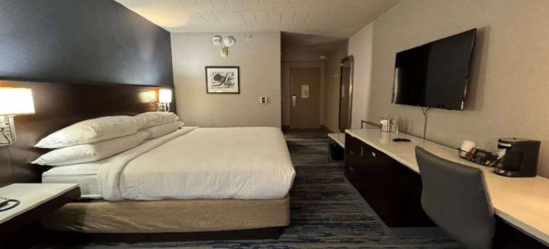 底特律机场天际线酒店 - 贝斯特韦斯特 SureStay 精选酒店(Skyline Hotel Detroit Airport, SureStay Collection by BW)图片