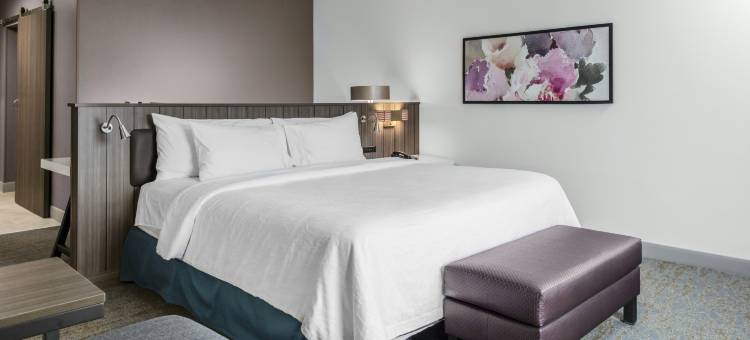 底特律尤蒂卡希尔顿花园旅馆(Hilton Garden Inn Detroit Utica)图片