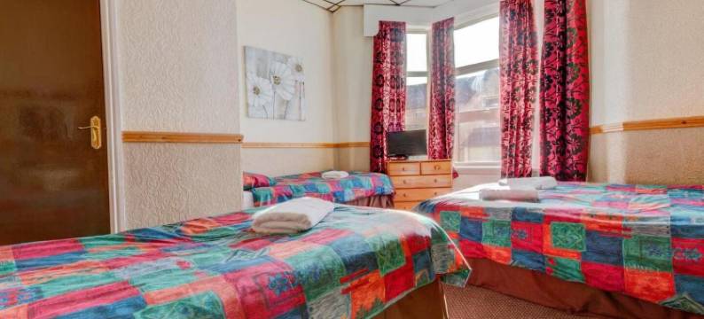 新普罗门纳德酒店(New Promenade Hotel)图片